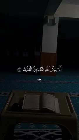 #قران #quran #قران_كريم #quran_alkarim #القران_الكريم 