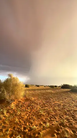 #تصويري #اكسبلور #الشتاء #طلعات_البر #ضيفوني_سنابي_بالبايو 