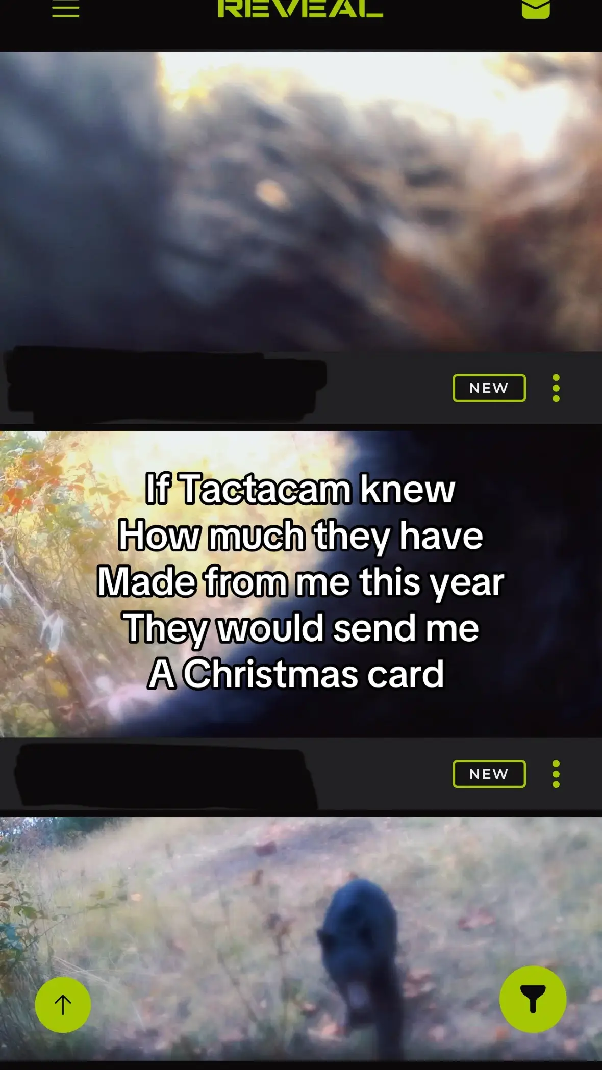 #tactacam #reveal #bearproblem #blackbear 