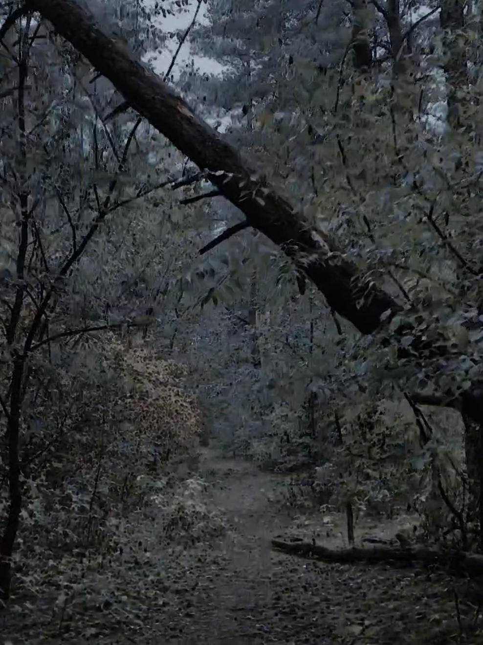 I tried a lot but never got anything in return