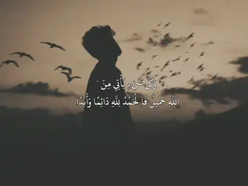 #عبارات  #قصائد_حسينية  #لايك #متابعة  #تصميم_فيديوهات🎶🎤🎬 