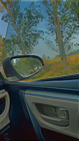 #foryourpage #flowers #foryou #