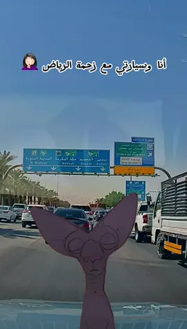 #Meme #MemeCut #دوام #زحمة_الرياض #داش_الرياض 😭💔 يارب اكتبي لي دوام جنب البيت تعبت 