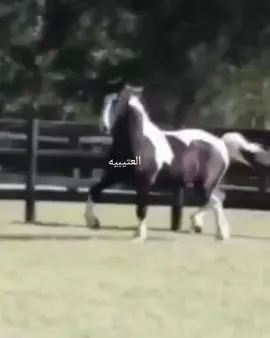 اهداء #للمتابعين #