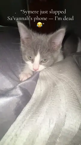 .	“Symere just slapped Sa’vannah’s phone — I’m dead 😂”#PhoneSlap #SymereVsPhone #TooFunny #CaughtOnCamera #HilariousMoment