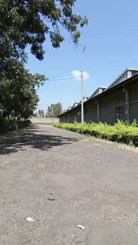 #fyp it just continues 