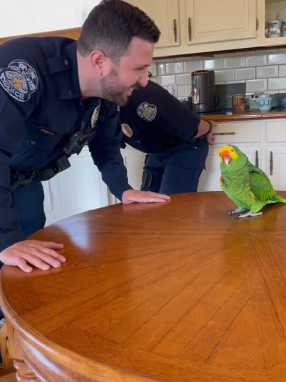 what he just says 😂😂#parrot #parrotlove #parrottalking #pettalking #petfunny 