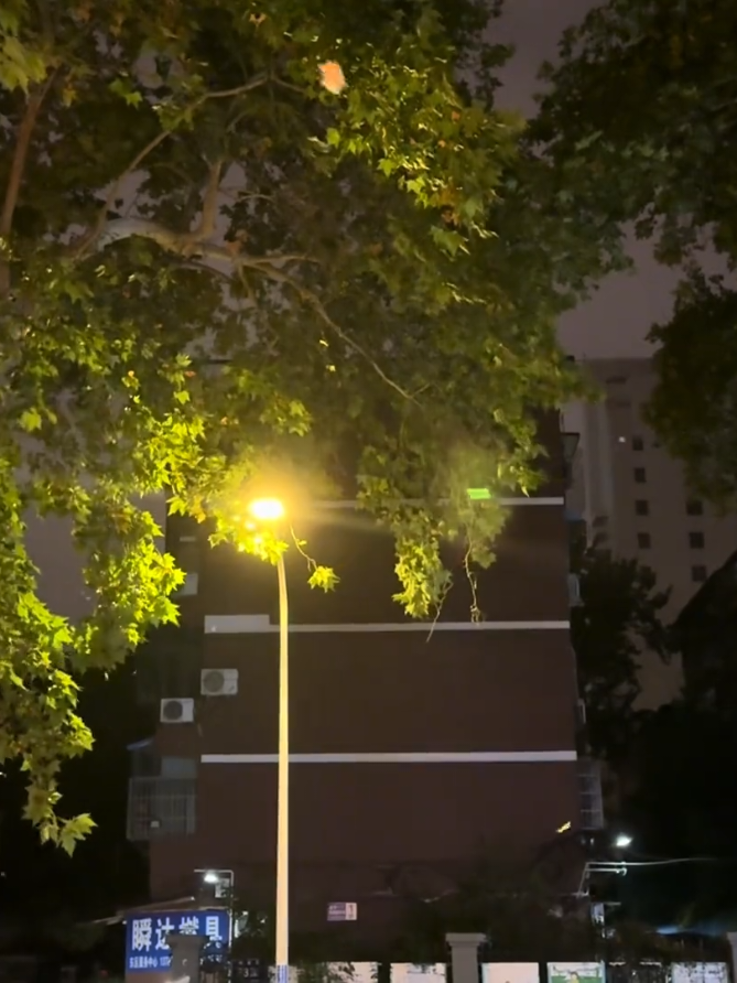 10.29| Wednesday... “Mình luôn tin rằng ông trời an bài cho mình học trường nào, gặp gỡ ai; bỏ lỡ ai; phải chịu những ấm ức gì; đều tự có đạo lý của nó! Không có tiếc nuối thì không gọi là đời người. Không sao cả, dẫu sao tất thảy mọi người đều dù cho lệ tràn khoé mắt cũng vẫn luôn phải ngẩng đầu bước tiếp mà.