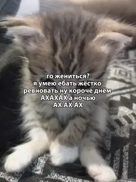 #щп 