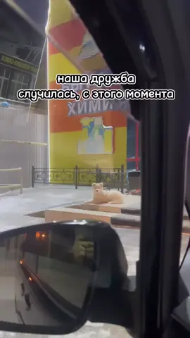 «Чем больше я узнаю людей, тем больше я люблю собак» (Шарль де Голль).