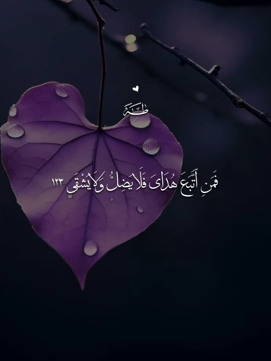 رسالة لك 🤍 #قران #بلال_دربالي #اللهم_صلي_على_نبينا_محمد #قران_كريم #fyp 