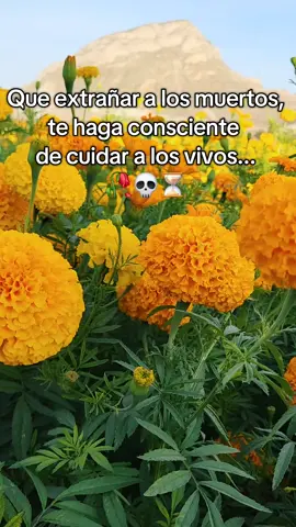 Día de Muertos México 🇲🇽 #diademuertosmexico #reflexion #cempasuchil #musica #foryou 