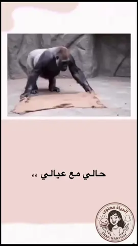 #الحياة_محتوى 