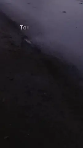 #сарказм #юмор #хорошегонастроения😜✌ 