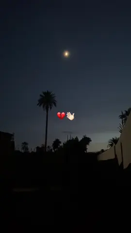 💔👋🏻#algeria #tunisia🇹🇳 #marocaine🇲🇦 #العودة_بقوة🔥💣💫 #مليون_مشاهدة❤ 