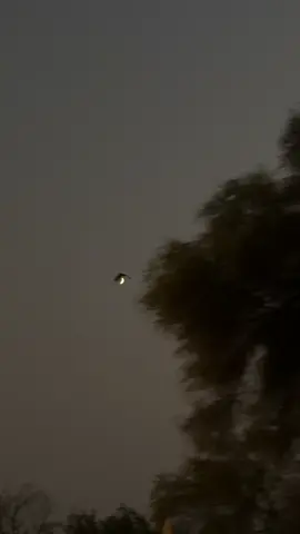 رات کی تنہائی میں وہ سب یاد آتا ہے جو دن کے شور میں بھلا دیئے جاتے ہیں 🍁🖤 . . . . . . . . #aesthetic #lyrics #foryou #viralvideo #fyp 