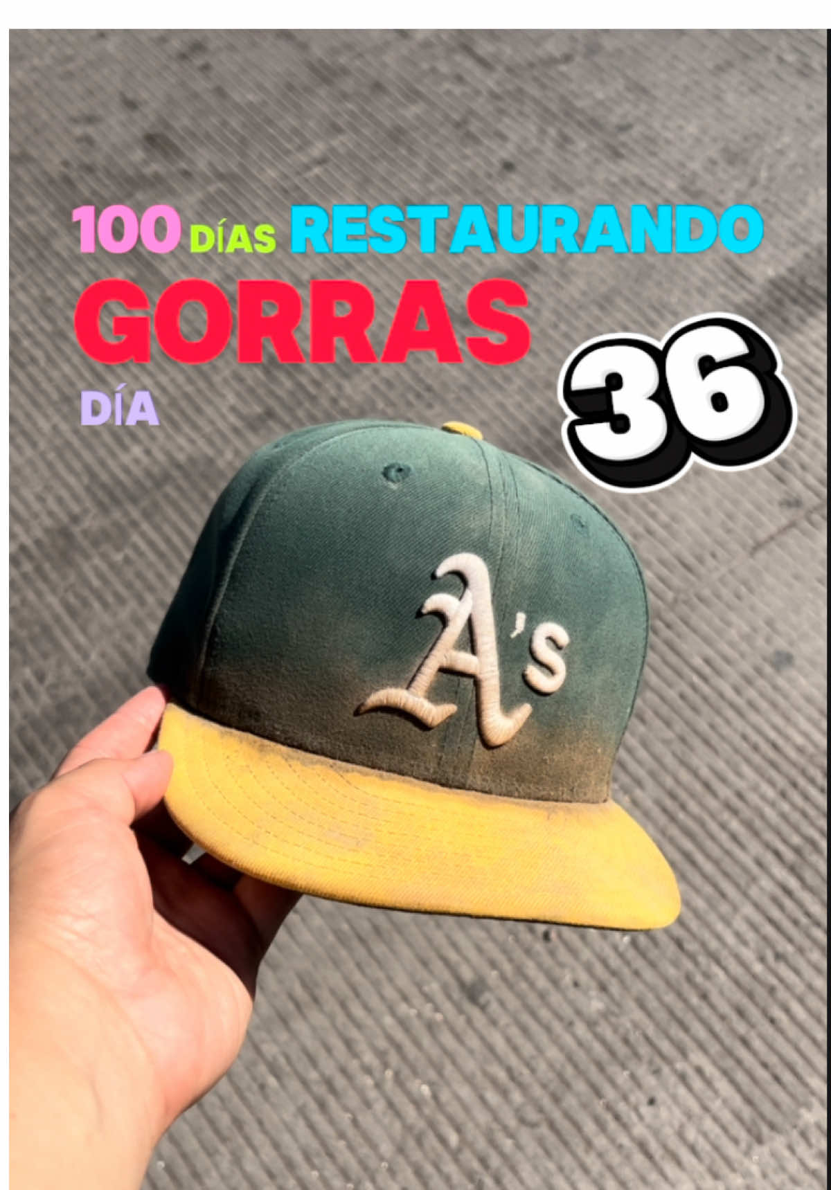 DÍA 36 🐘#LIVEIncentiveProgram #LIVEStory #PaidPartnership 