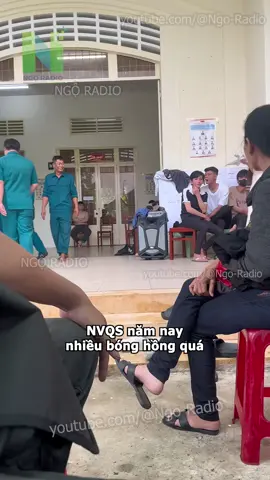 NVQS năm nay nhiều bóng hồng quá #viraltiktok #tintuc #ngoradio #cuocsong #haihuoc