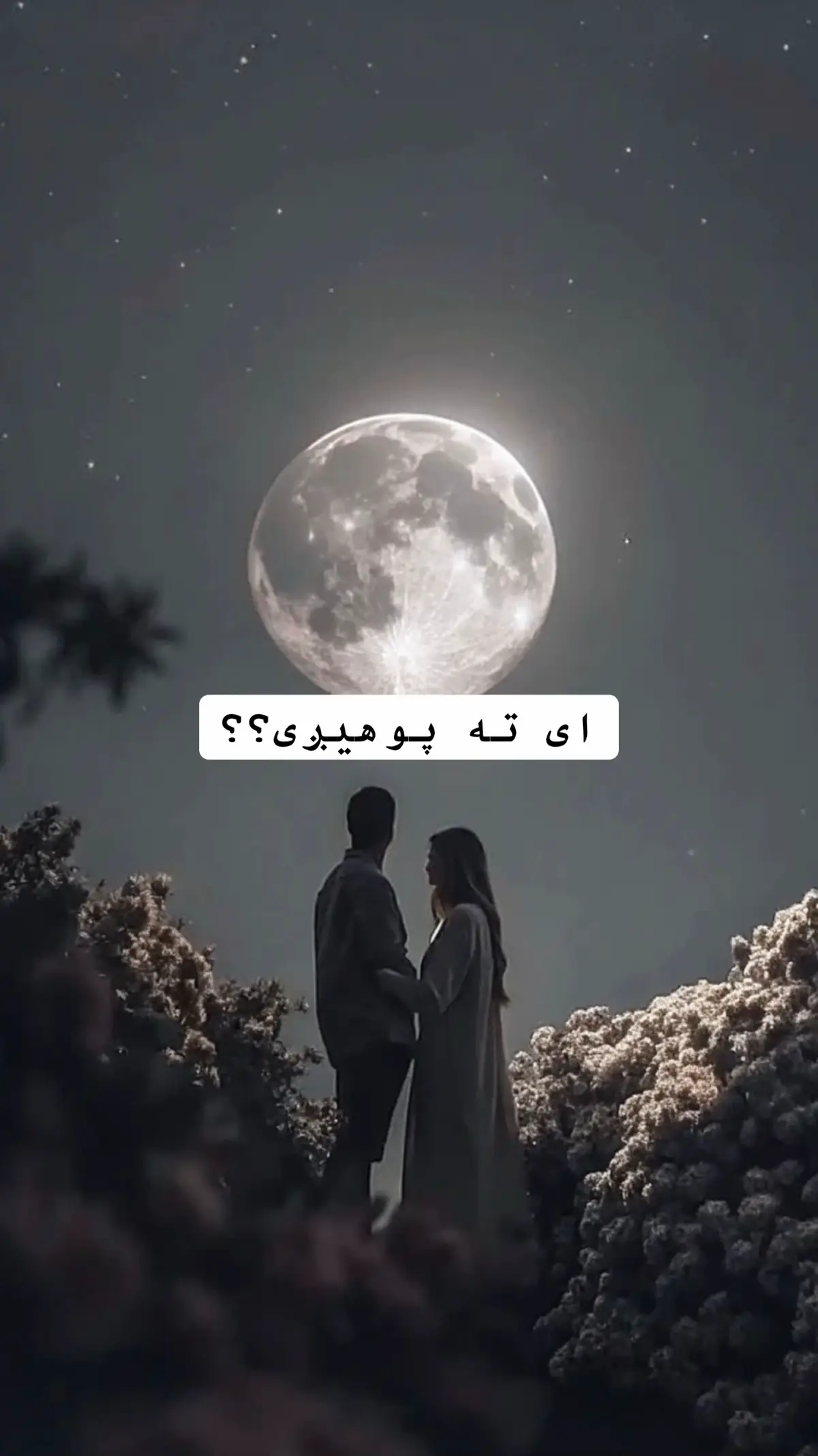 #fyp #videoviral #foru #loveyou 