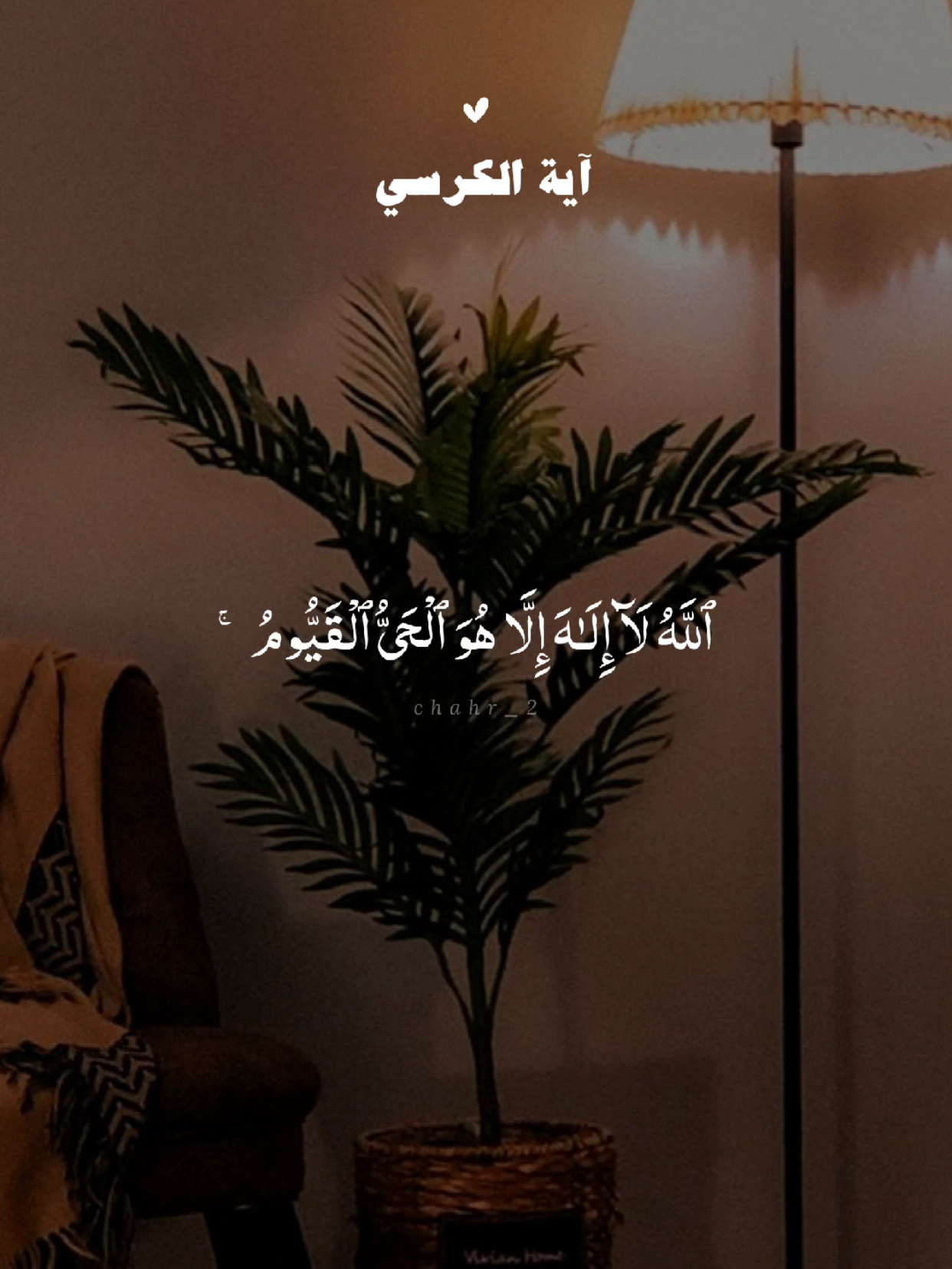 آية الكرسي 🤍 #قران #quran #قران_كريم #Allah #اللهم_صلي_على_نبينا_محمد 