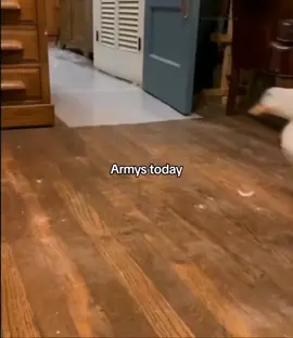 october 28, 2025 will go down in army history 💜 #jin #jhope #jungkook #jimin #taehyung 