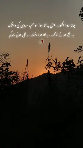 اکتوبر گزر گیا #nightvibes #sadvibes #sadstory #potery #sad