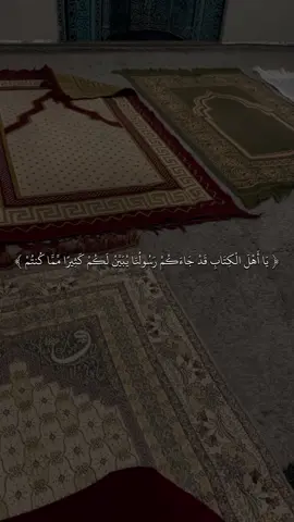 #القارئ #ماهرالمعيقلي #🖤✨ #quran #fyp #قران #sb3zaid0 