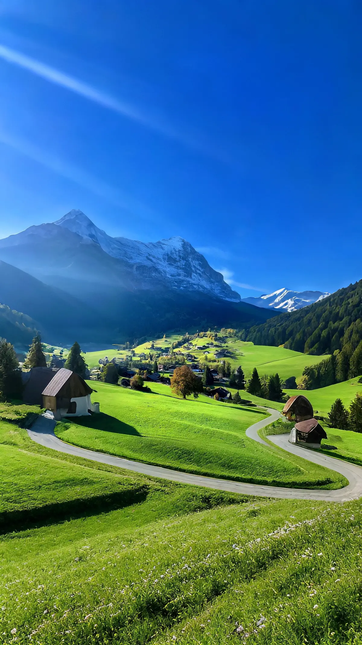 #fyp #nature #forest #landscape 