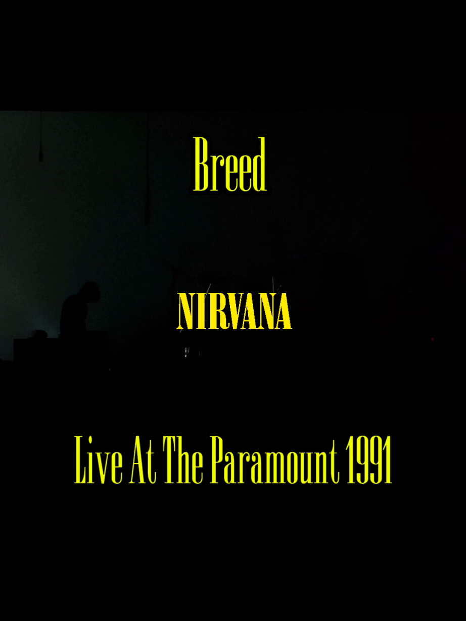 Nirvana - Breed [Live At The Paramount 1991] Credits to MusicVideos4k on Youtube:)#fyp #nirvana #liveattheparamount #1991 #breed 