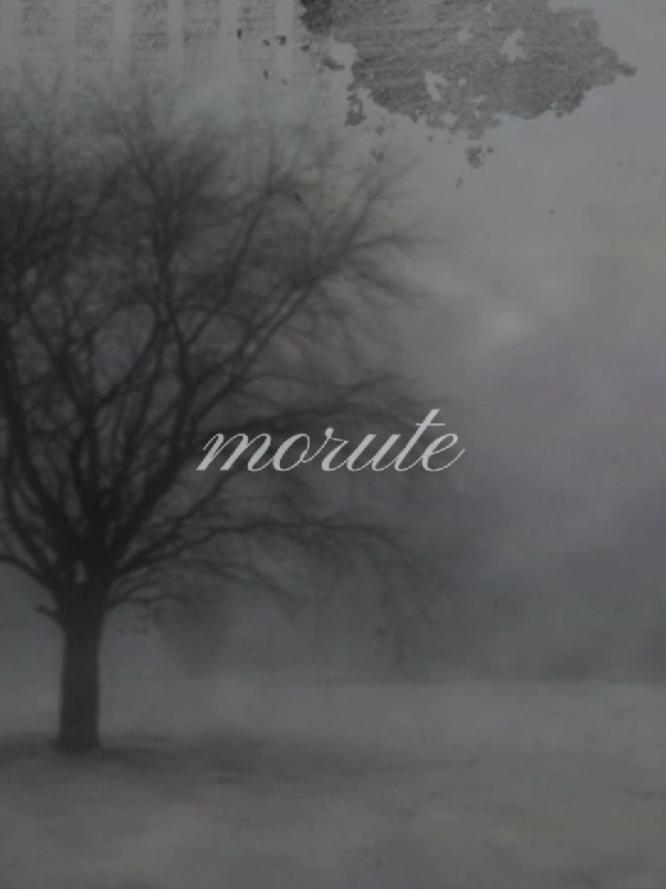 #10 #morute #moodboard #atmosphere #aesthetic #coquette #angelcore #soft #aura #white #foryou #fupシ #on #angel #grey #goth #vibe #core 