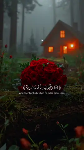 Al-Anbya | Beautiful Recitation  ‏#allah #zeealquran #القران_الكريم #quran_alkarim   #عبدالرحمن_مسعد ‏  