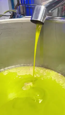 No filter. 🫒 #madeinitaly #agricoltura #olioextravergine #italy #puglia 