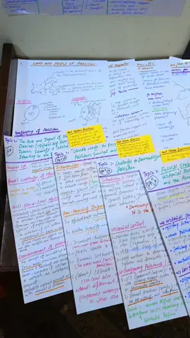 Paid Handwritten Notes