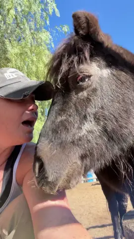 Bob’s gonna Bob and Greg is gonna Greg. #rescueanimals #MomsofTikTok 