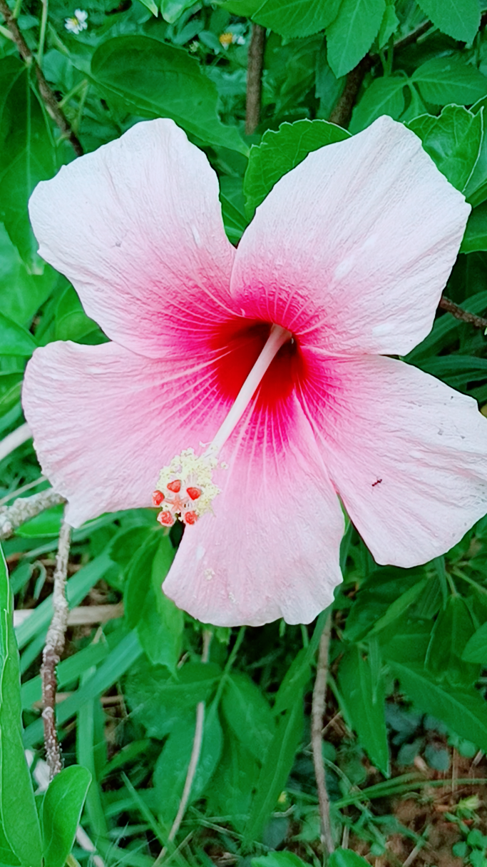 #美と音楽の部屋❤️ 