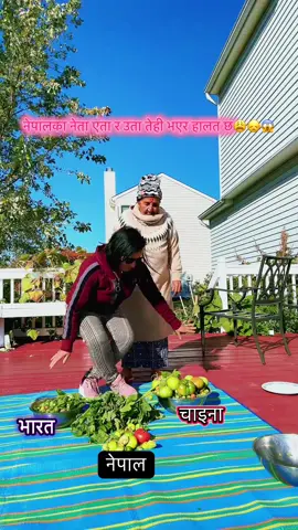 साच्चै अर्गानिक भएछ 🤩😳ममि हेरेकोहेरै🤗#kalpana0017 #foryou #evergreen #tomatoes #pumpkinseason 