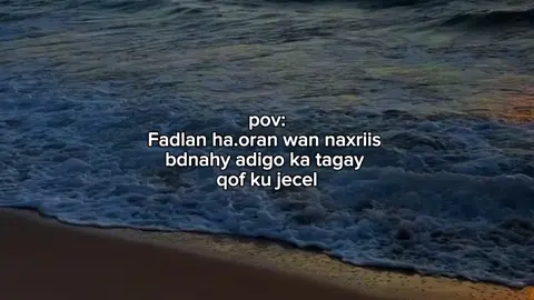 Ha oran... #shaam_✨️🤍 #fypシ゚viral #viralvideo #foryoupage 