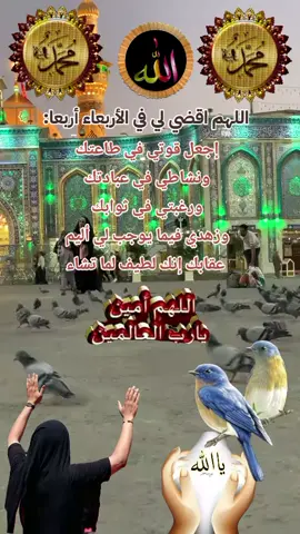 #متابعين مشهدات دعاء صباح يوم #الاربعاء اصبحنا وصبح الملك لله #اللهم صلي على محمد وآل محمد وعجل الواليك الفرج يارب العالمين صباح الخير والسعادة #🤲 #🤲🤲🤲 