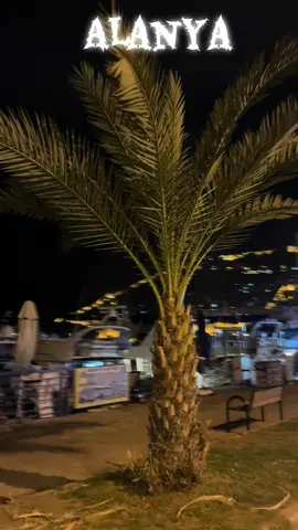 İyi akşamlar #türkiye🇹🇷 #alanya 