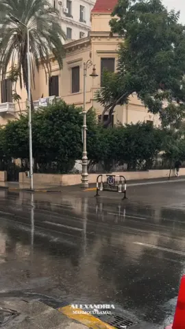 والناس يا قلبي هما وهو فين ❤️‍🩹 #تصميم_فيديوهات🎶🎤🎬 #اسكندرية 🏛 #foryoupageofficiall 📸#alexandriaegypt🇪🇬 #videoviral 🖥