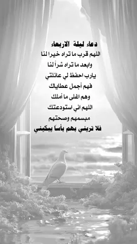 #اللهم_امين #اكسبلورر 