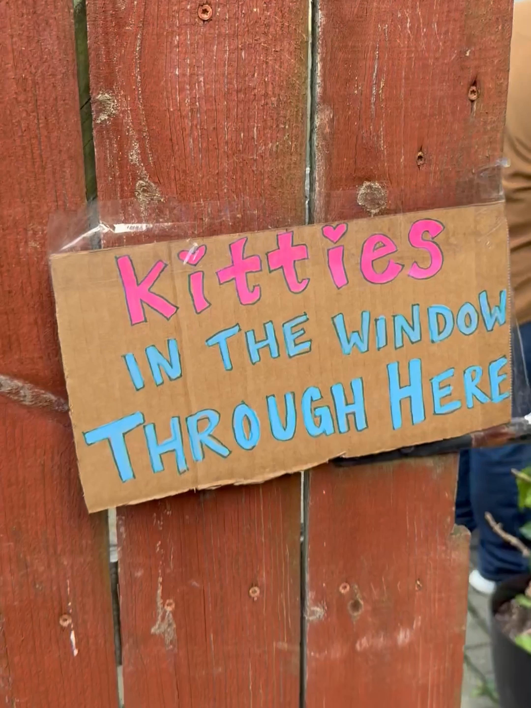 Our First-Ever Northside Copycat Tour was the Cat’s MEOWWW! ✨🐱 This past Sunday couldn’t have been more purrrrfect! More than 150 walkers explored 22 creative stops across three routes, throughout Northside— spotting kitties in windows, in costumes, and even a few community cats along the way! 🐾💛 A huge thank you to Minneapolis’ Wedge Neighborhood Cat Tour for inspiring this fun, feline-filled day, those who opened their homes to us, and to Northside Yacht Club for hosting a little after pawty! Stay tuned — our next walking tour event is coming this spring! 🌸🐾 #copycattour #kittycity #cattour #CincyCARE #fyp