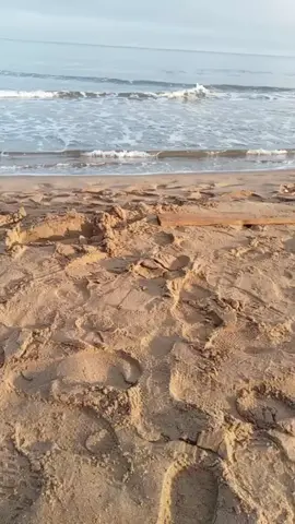 #🏊 #🚤 #اكسبلور #الشعب_الصيني_ماله_حل😂😂 #مرسى_بن_المهيدي 