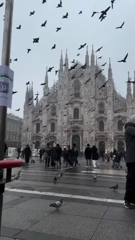 خريطة #ميلان السياحية بالبايو #ايطاليا🇮🇹 #ايطاليا #ميلانو #الشمال_الايطالي🇮🇹 