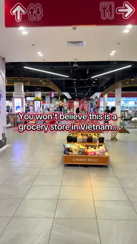 POV: You walk into the most organized, beautiful grocery store in Vietnam and instantly forget your shopping list. #vietnam #groceryshopping #fyp #bigc 