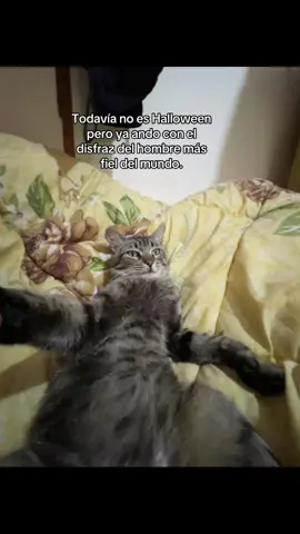 #@𝓑𝓻𝓾𝓷𝓲𝓽𝔁 #soytilin #fyoup #paratiiiiiiiiiiiiiiiiiiiiiiiiiiiiiii 