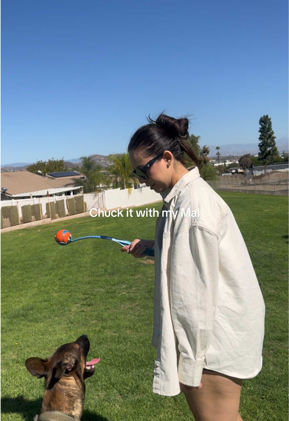 Dennis and a little heat don’t work together. He was a diva and was done after 5 throws #doglife #malinois #dogrescue #fosterfail 