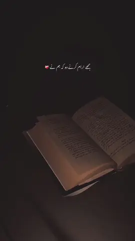 humhe araam krne do-🌸 | Paid Repost Avalaible • #urdushayari #urdushayari #VoiceEffects #viewsproblem😭 @TikTok 