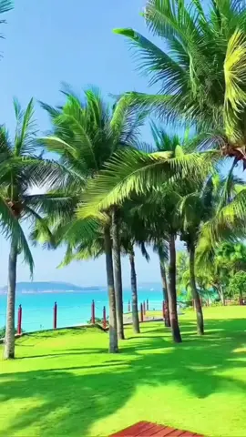 #catrachaaguilar2tiktok #catsoftiktok #LIVEIncentiveProgram 