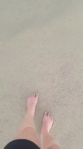 #في هذا اليوم 